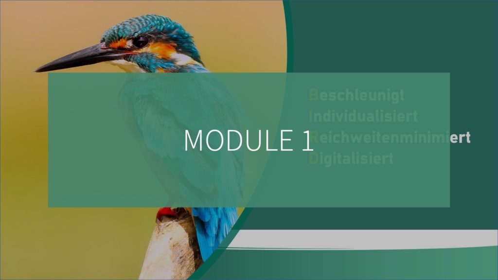 Future Fit Leadership - Modul 1: Die neue Führungswelt ist BIRD