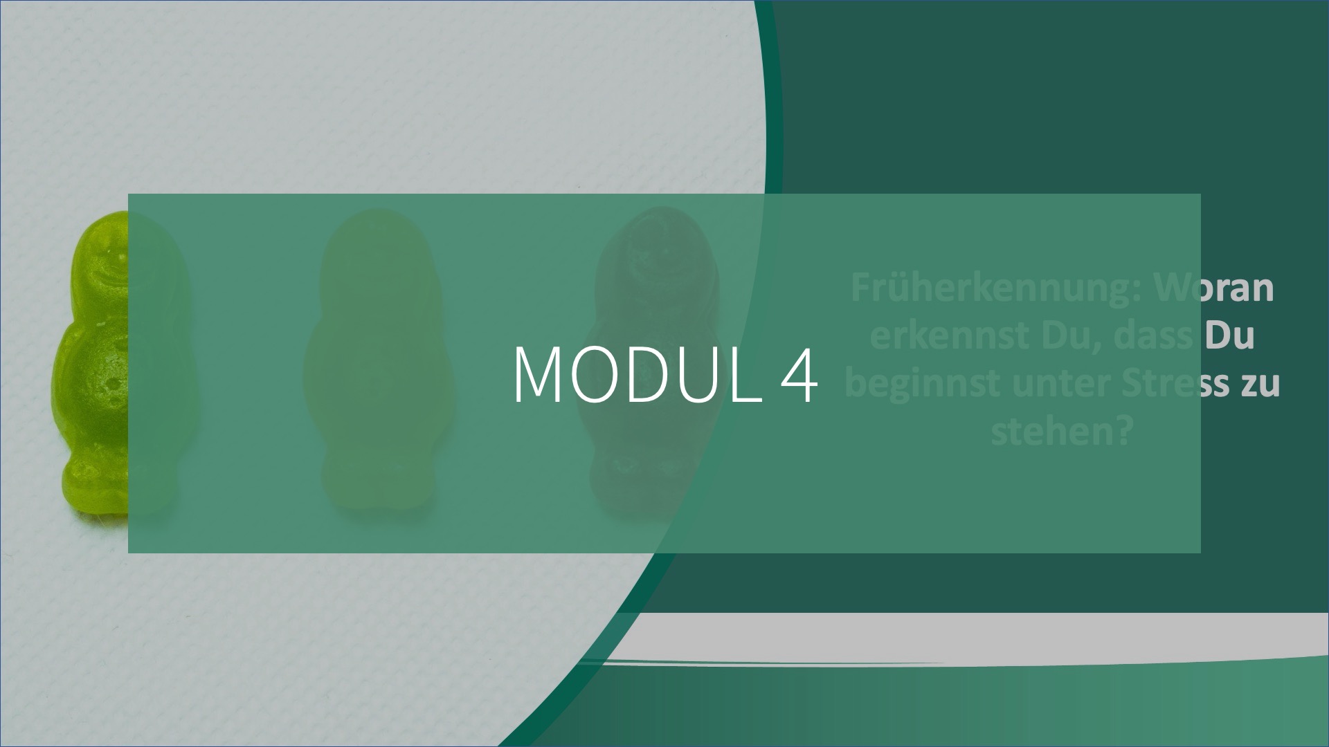 Future Fit Leadership - Modul 4: Deep Touch mit Dir selbst